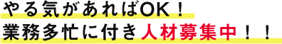 やる気があればOK！業務多忙に付き人材募集中！！
